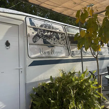 Camping Couples Getaway Bus *