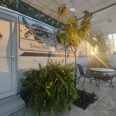 Venus Elegant - Getaway Bus